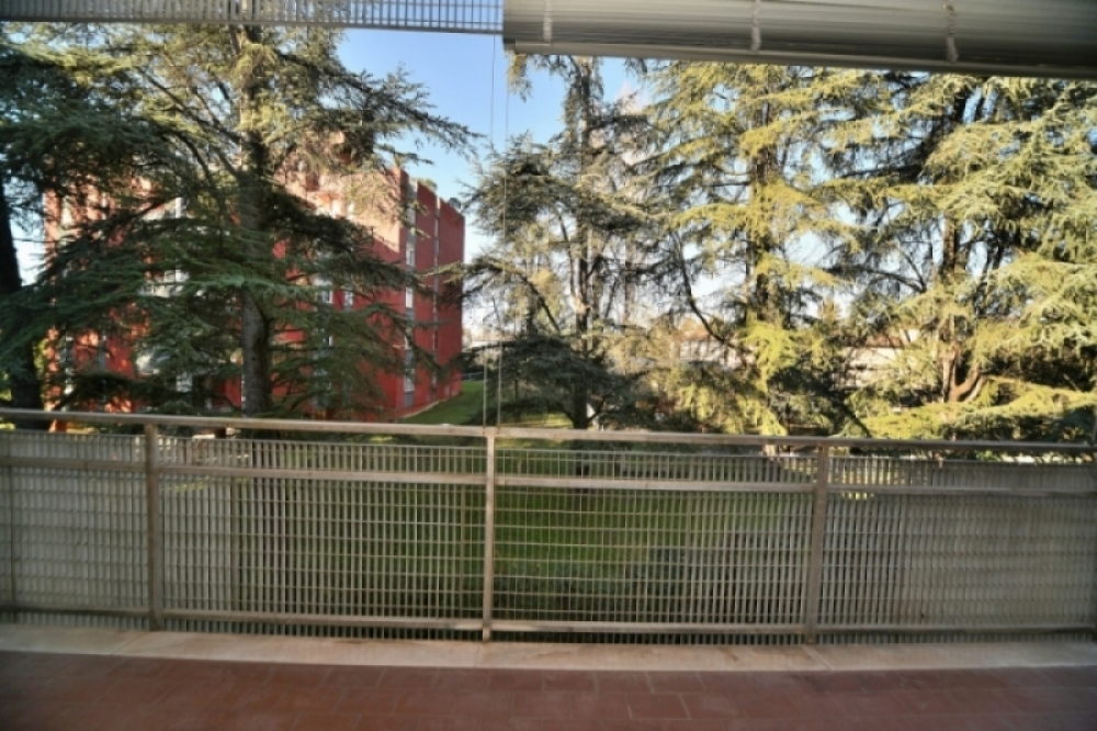 properties