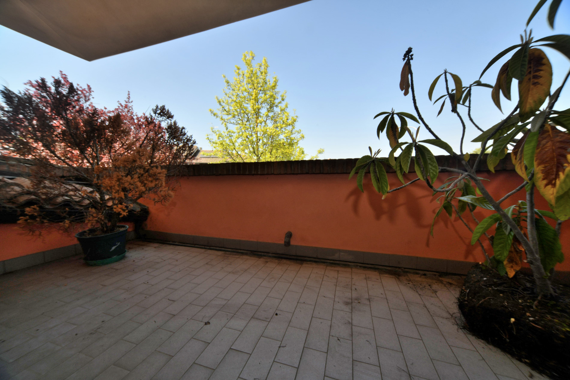 Rif_1480_file_r_022_