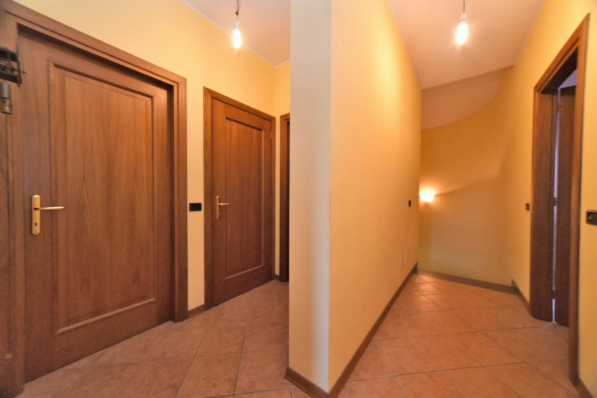 Rif_1480_file_r_024_