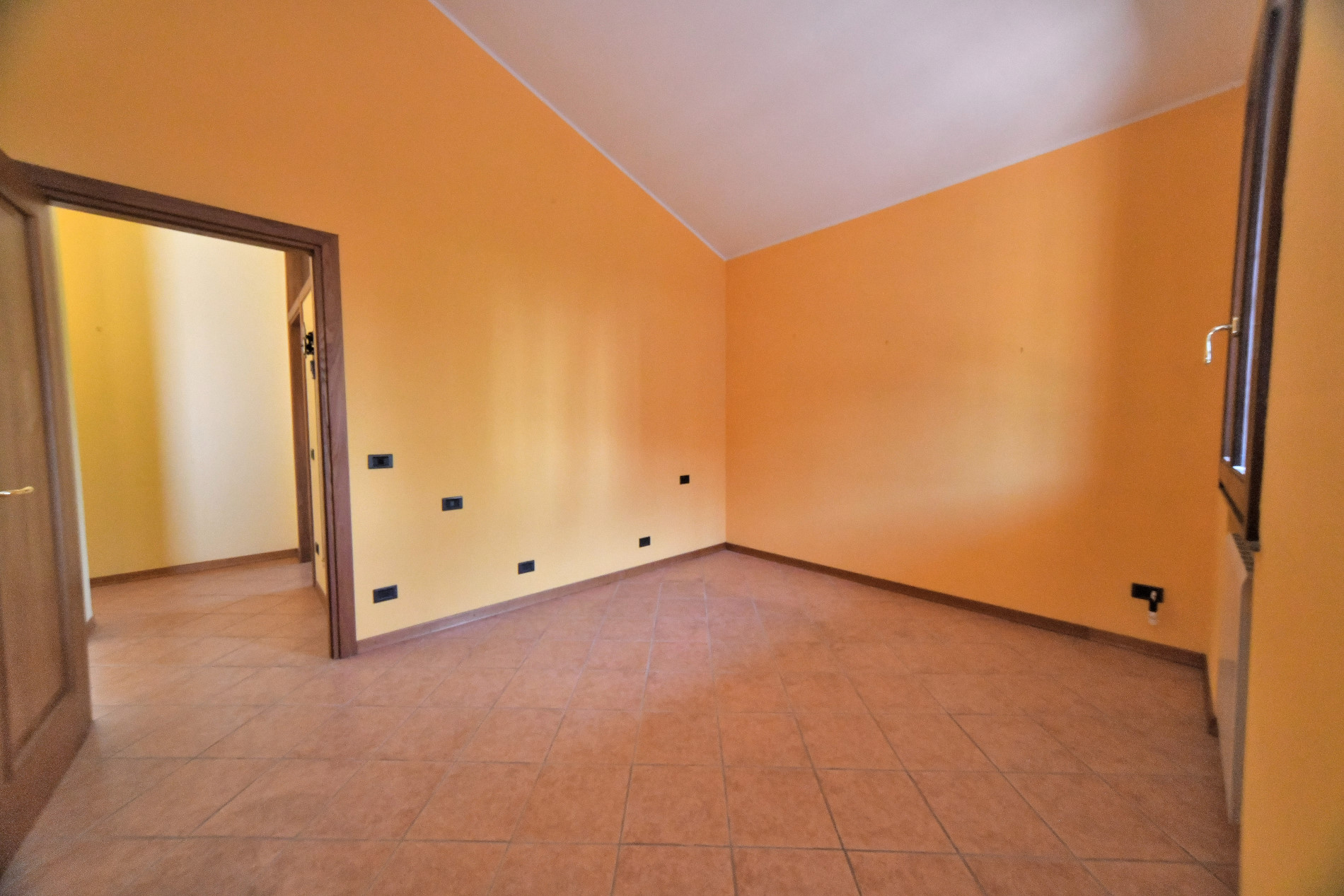 Rif_1480_file_r_035_