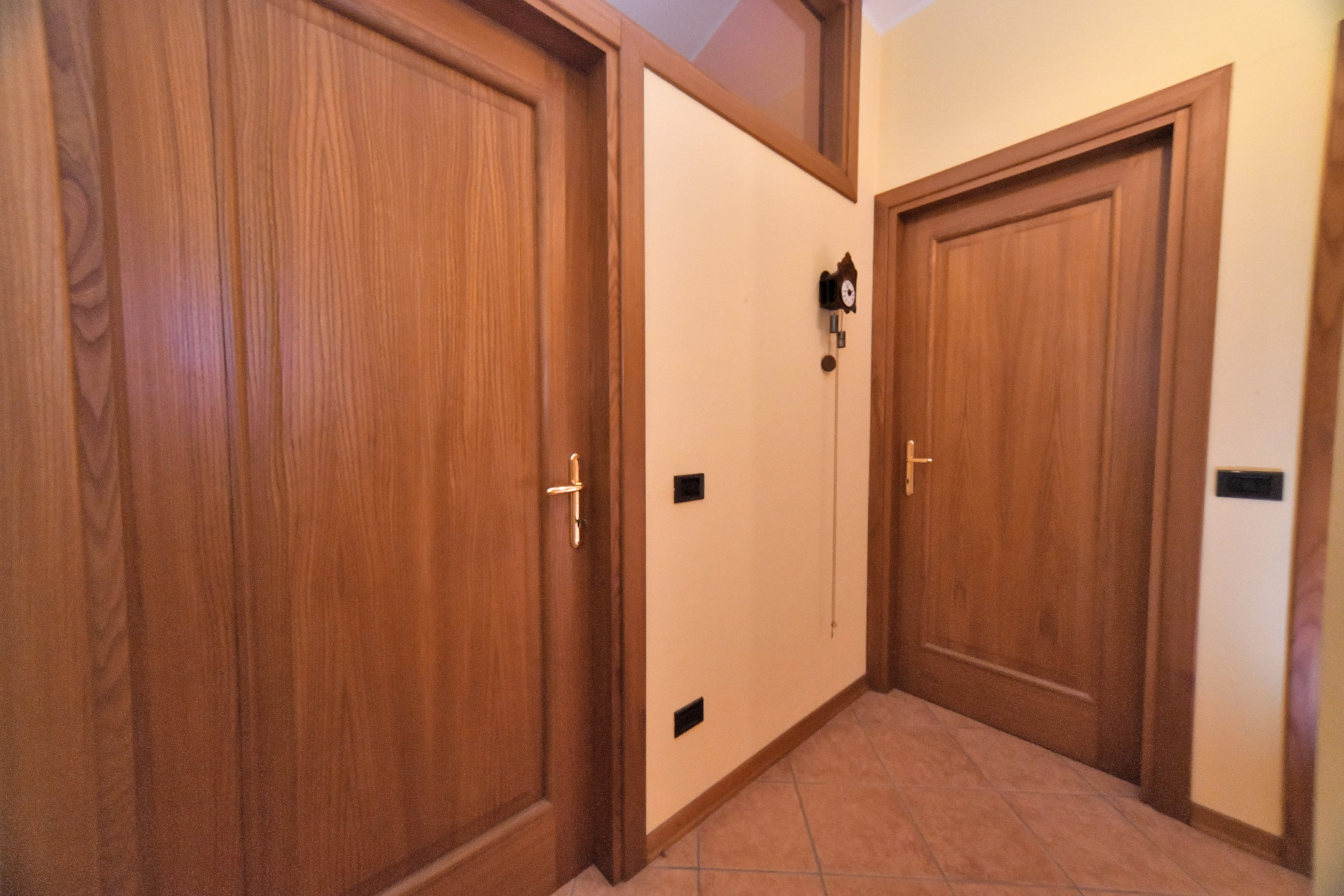 Rif_1480_file_r_037_